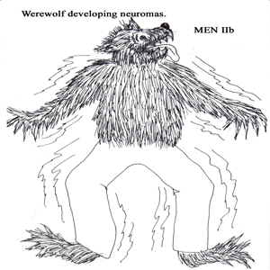 MEN2.b3.gif